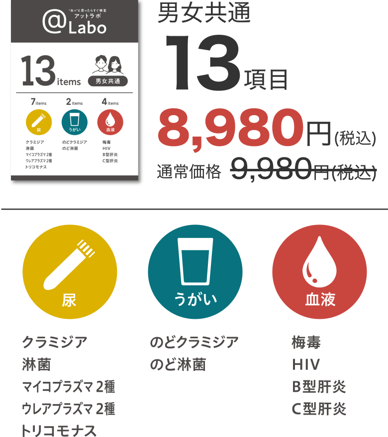男女共通13項目